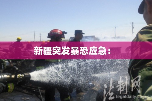 新疆突发暴恐应急: