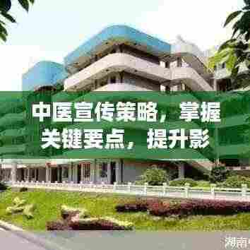 中医宣传策略,掌握关键要点,提升影响力与吸引力!