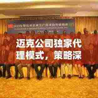 迈克公司独家代理模式，策略深度解析、优势挑战并存