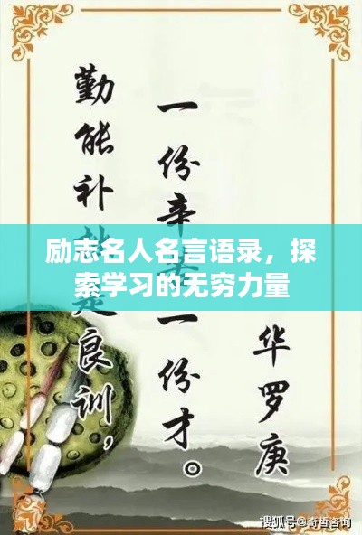 励志名人名言语录,探索学习的无穷力量