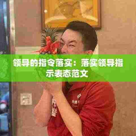 领导的指令落实：落实领导指示表态范文 