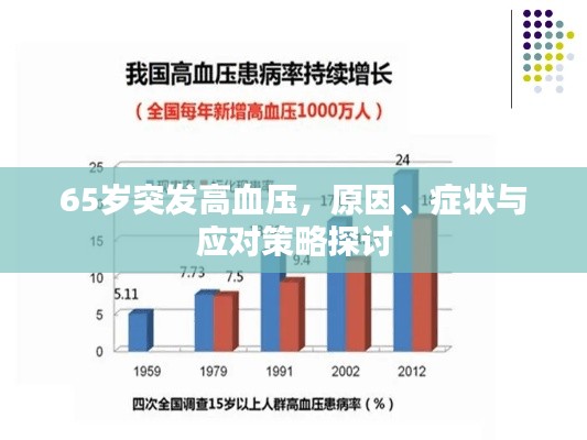 65岁突发高血压,原因、症状与应对策略探讨