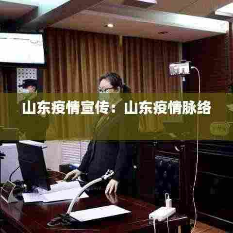 山东疫情宣传:山东疫情脉络
