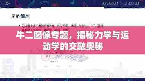 牛二图像专题,揭秘力学与运动学的交融奥秘