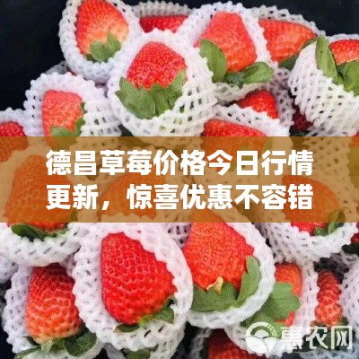 德昌草莓价格今日行情更新,惊喜优惠不容错过!