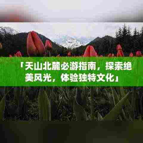 「天山北麓必游指南,探索绝美风光,体验独特文化」
