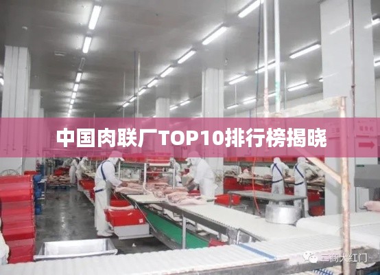 中国肉联厂TOP10排行榜揭晓