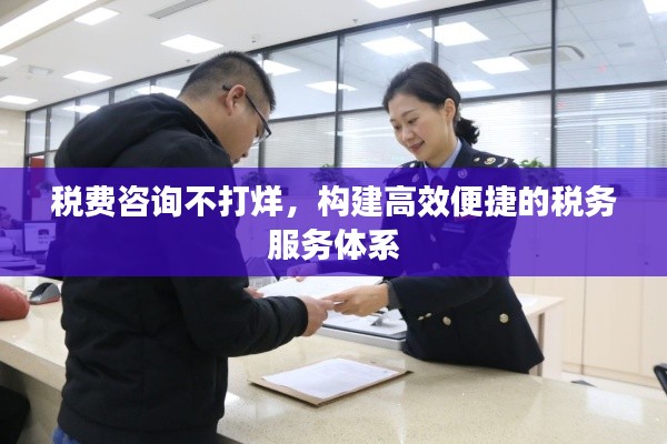 税费咨询不打烊，构建高效便捷的税务服务体系