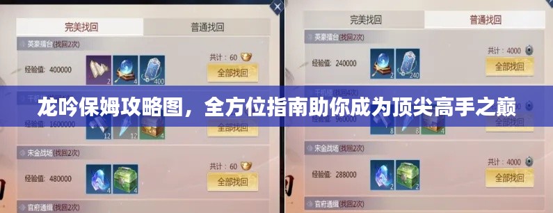 龙吟保姆攻略图，全方位指南助你成为顶尖高手之巅