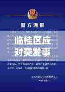 临桂区应对突发事件展现卓越策略与表现