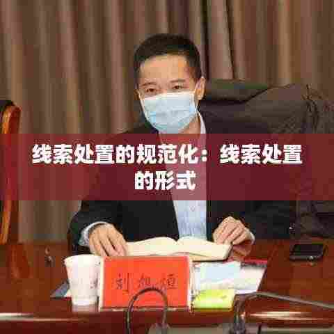 线索处置的规范化:线索处置的形式