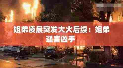 明夷于飞 第4页