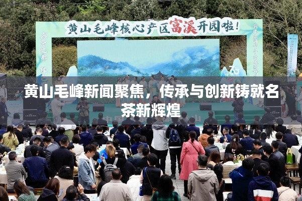 黄山毛峰新闻聚焦，传承与创新铸就名茶新辉煌