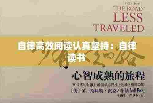 自律高效阅读认真坚持:自律 读书