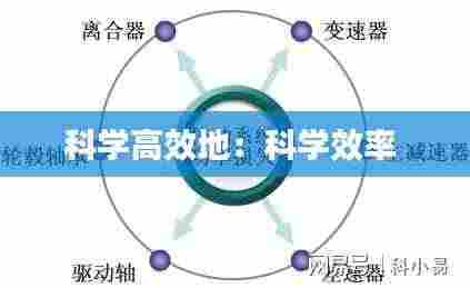 科学高效地：科学效率 