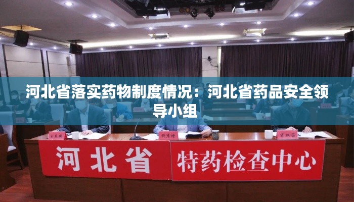 河北省落实药物制度情况:河北省药品安全领导小组