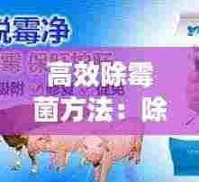 高效除霉菌方法:除霉菌的最好方法