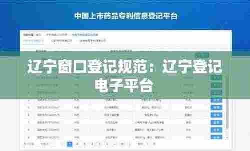 辽宁窗口登记规范:辽宁登记电子平台