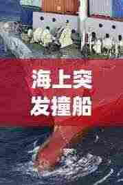 海上突发撞船事故,安全警钟再次长鸣