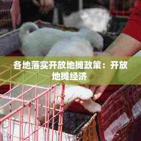 各地落实开放地摊政策:开放地摊经济