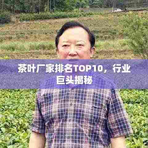茶叶厂家排名TOP10，行业巨头揭秘