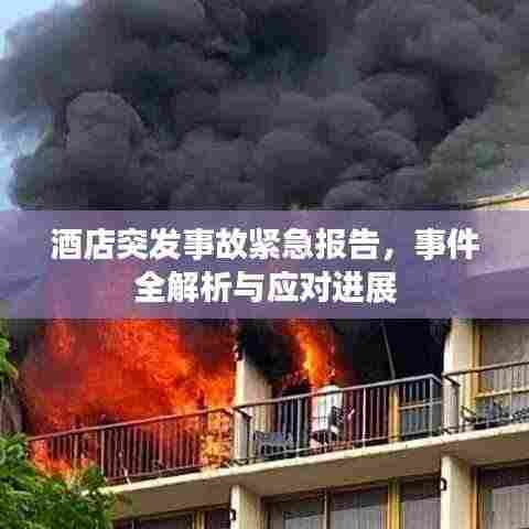 酒店突发事故紧急报告,事件全解析与应对进展