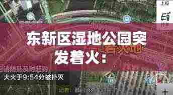 东新区湿地公园突发着火: