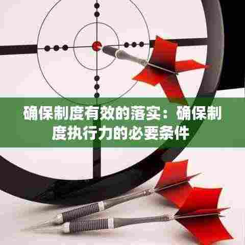 确保制度有效的落实：确保制度执行力的必要条件 
