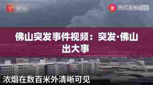 佛山突发事件视频:突发·佛山出大事