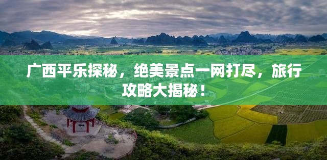 百鸟朝凤 第3页