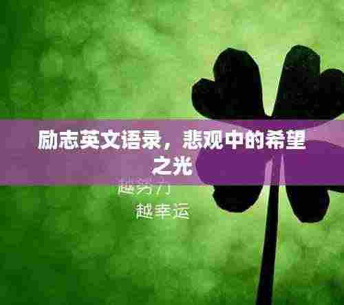 励志英文语录,悲观中的希望之光