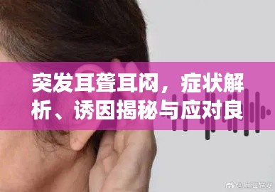 突发耳聋耳闷,症状解析、诱因揭秘与应对良方