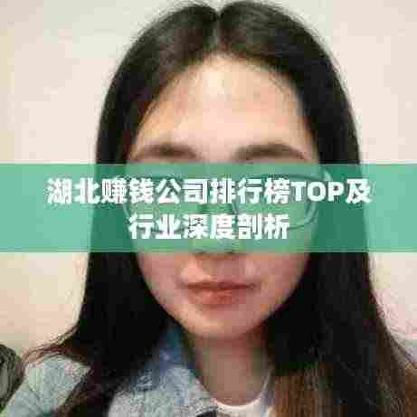 湖北赚钱公司排行榜TOP及行业深度剖析