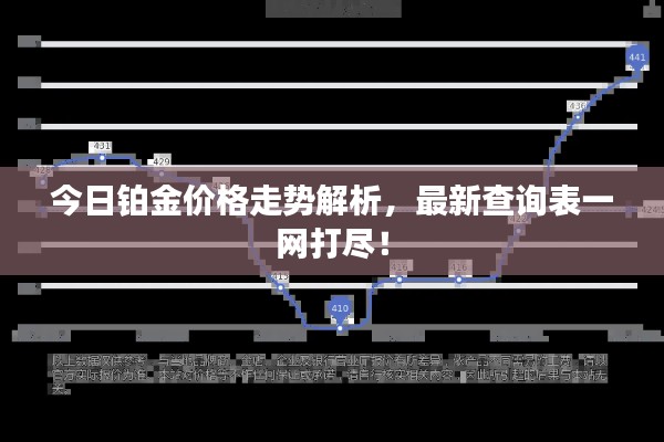 今日铂金价格走势解析,最新查询表一网打尽!