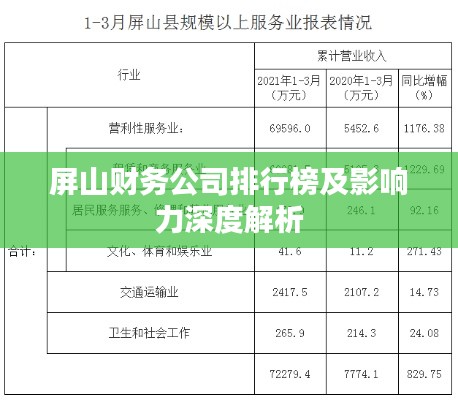 屏山财务公司排行榜及影响力深度解析
