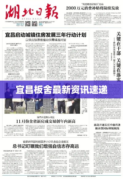 宜昌板舍最新资讯速递