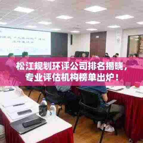松江规划环评公司排名揭晓，专业评估机构榜单出炉！