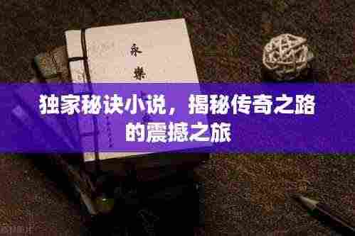 独家秘诀小说,揭秘传奇之路的震撼之旅