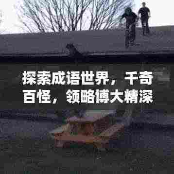 探索成语世界,千奇百怪,领略博大精深中华文化