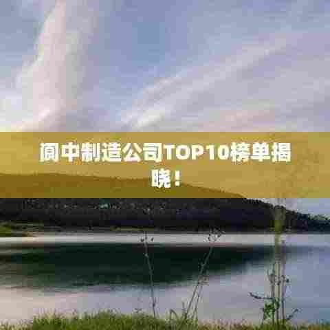 阆中制造公司TOP10榜单揭晓!