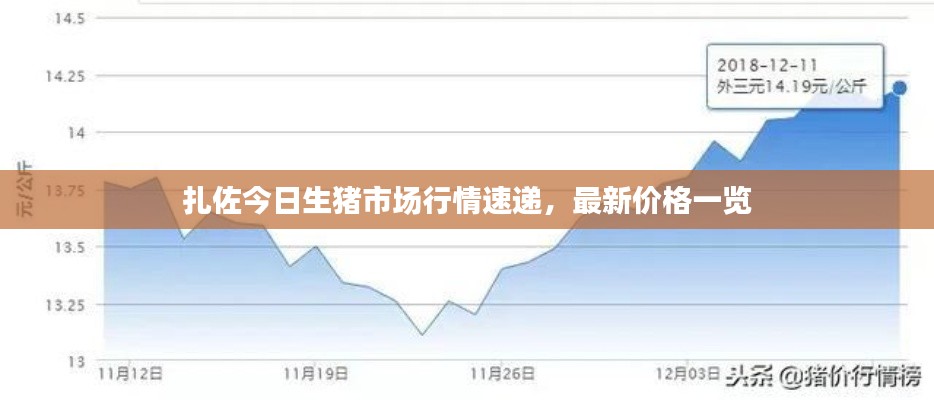扎佐今日生猪市场行情速递,最新价格一览