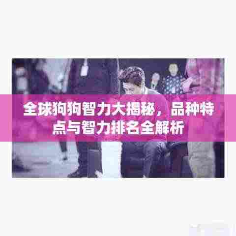全球狗狗智力大揭秘，品种特点与智力排名全解析