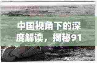 中国视角下的深度解读,揭秘911事件真相