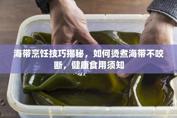 海带烹饪技巧揭秘,如何烫煮海带不咬断,健康食用须知
