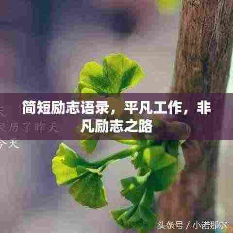 简短励志语录,平凡工作,非凡励志之路