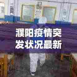 濮阳疫情突发状况最新报告,防控形势严峻,紧急应对措施已启动!