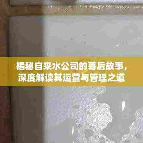 揭秘自来水公司的幕后故事,深度解读其运营与管理之道