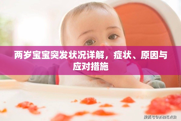 两岁宝宝突发状况详解,症状、原因与应对措施