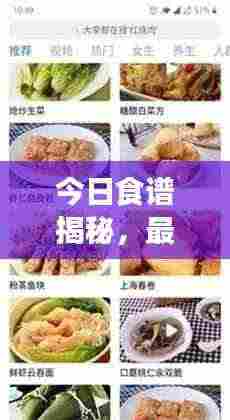 今日食谱揭秘,最新美食资讯与个性化推荐,不容错过!