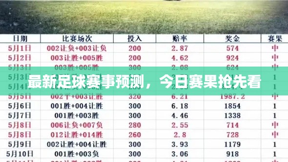 张飞穿针 第2页